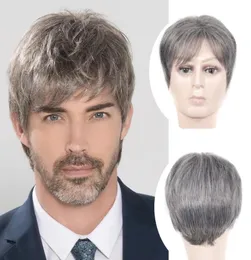 Fancied Hair Short Silver Gray Synthetic Hair Wig Mens 남성 양털 현실적인 Wigs2358322