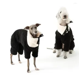 Kedi Kostümleri Kış Polar Pet Sweater Küçük ve Orta Köpek Giysileri Bellington WhiteBit Greyhound Köpekler Ascesorios Ropa Perro