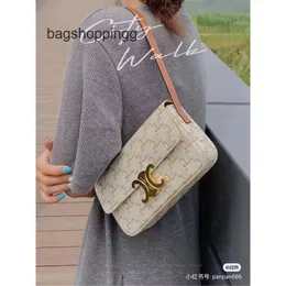 Nya ankomstdesigners Bag Celiins Bag Underarm Bag Womens Stick Bag Trendy Tofu Bag Crossbody Shoulder Bag Claudes Portable Bag Evening Clutch Bag PR0Z