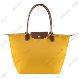 Bag Designer Bag Branded Handbag Laptop Beach Travel Nylon Shoulder Bag Crossbody Bag Casual Bag Canvas Bag 10A
