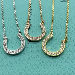 Rtx6 Pendant Necklaces S925 Sterling Silver Tiffanynet Horseshoe Ushaped Necklace with Diamonds Crystal Simple Pendant Collar Chain As a Valentines Day Gift for g