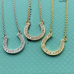 RTX6 Pendanthalsband S925 Sterling Silver Tiffanynet Horseshoe Ushaped Halsband med diamanter Crystal Simple Pendant Collar Chain som en Valentines Day -gåva för G