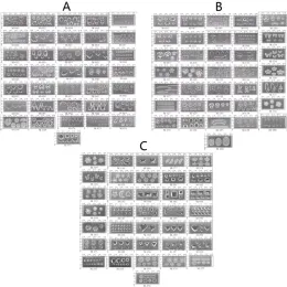 機器36PCSミニサイズネイルアートシリコーンカビの葉フラワーアニマルテンプレートアクリルジェルツール樹脂カビ宝石製造ツール