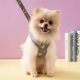Cinghie per petto e schiena per animali domestici con etichette alla moda Guinzaglio per cani di piccola e media taglia Petto e schiena