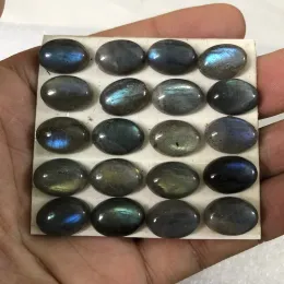 Pärlor Blue Flash Labradorite Bead Cabochon 10x14mm Oval Gem Stone Pärla för smycken Making 2 -Piece/Pack