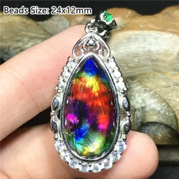 Ciondoli Ammonite naturale Ciondolo ammolite per donne Signora Uomo Amore Fortuna Regalo Argento Guarigione Cristallo 24x12mm Perline Gioielli in pietra AAAAA