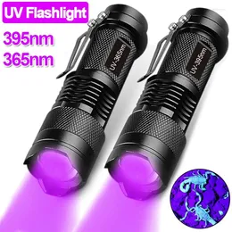 مشاعل الأشعة المصباح 395/365NM UV مصباح يدوي LED ULTRAVIOLET TORCH TORCH MINI LIGHT ULTRA VIOTRA LIGHT