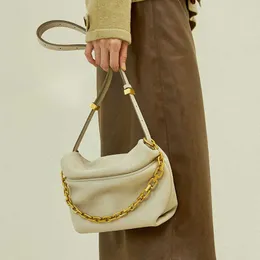 Classy Evening Bags Women's Leather Pleated Cloud Bag Fashion Chain Dumpling Shoulder Crossbody