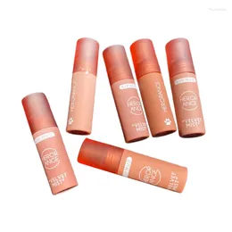 Lip Gloss Color Velvet Matte Liquid Lipstick Waterproof Long Lasting Women Red Tint Beauty Cosmetic TSLM2