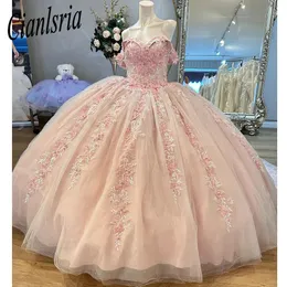 Luxury Pink Quinceanera Dress 2024 3d Floral Flowers Princess Ball Gown Sweet 15 Vestidos de XV Anos Party Gown