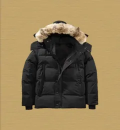 Canadá Puffer Jaquetas Homens Designer Real Coyote Fur Outdoor Wyndham Windbreaker Jassen Outerwear Com Capuz Fourrure Manteau Down Jacket Casaco Hiver Parka Doudoune XXL