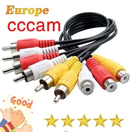 2024 CCCAM OSCAM CCAM LINE EUROPA 1 년 8 라인 유럽 CCCAM IGGLOD 독일 폴란드 이탈리아 오스트리아 안정적이고 빠른 이가 골드 CCCAM