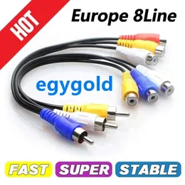 2024 NEW Cccam Egygold 7 Clines Free Test for Spain Poland Italy Czech Republic Most Stable Fast Oscams Ccam Lines Panel