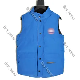 Giubbotti da uomo canadesi canadesi per uomo Designer da donna Gilet in piumino d'oca canadese Cappotto Uomo Donna Inverno di alta qualità Uomo caldo Gilet da giacca canadese 660