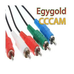 2024 새로운 권장 내구성 지원 지원 다수의 국가 최고의 서비스 Igygold CCCAM Oscam Panel CCCAM Europe