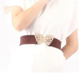 Belts Color Geometric Clothing Accesoories Knot Metal Buckle Waist Strap Elastic Belt Women Waistband Butterfly Cummerbunds