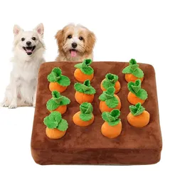 ألعاب Cat Dog Pet Plush Carrot Vegetable Chew Sniff Hide Food Toy لتحسين عادات الأكل اللوازم المتينة 240220