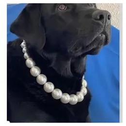 Hundehalsbänder Luxus Perlen Kragen Halskette Mode Hochzeit Party Pflege Zubehör Einstellbare Schmuck Für Kleine Hunde Katze