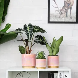 Vasos de plantas internos rosa para plantas, plantador de cerâmica com furo de drenagem, 6 polegadas + 5 polegadas + 4 polegadas.Vaso de flores de orquídea suculenta