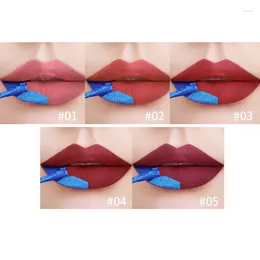 Lip Gloss Fit Colors Tear And Pull Lacquer Matte Finish Bottom Color Dyed Lipstick