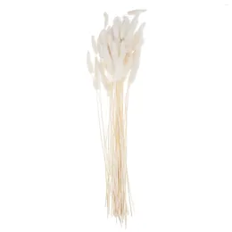 Decorative Flowers Bunch/60 Pcs Wedding Decoration Dried Grass Tail Hay Natural Plants For Pography Flower Arrangement