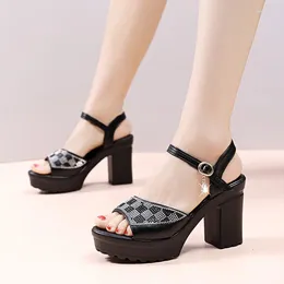 Dress Shoes Crystal High Heels Sandals Women Open Toe Luxury Slippers Summer 2024 Designer Platform Chunky Pumps Female Slides