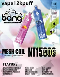 BangTN Puff15000 15000pff Set Large Evaporator Disposable Vape puff15k Mesh Coil Rechargeable Battery 600mahE Cigarette 0% 2% 3% 5% Vape Pen