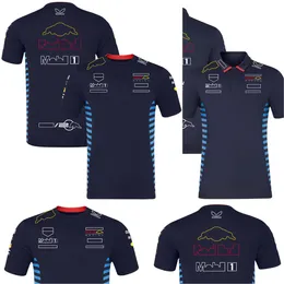 2024 F1 Racing Racing T-Shirt Formuła 1 Męskie koszulki Polo T-shirty Motorsport Nowe sezonowe odzież Fani Top Jersey Plus Size