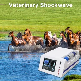 At ekstrakoral at şok dalgası tedavisi için portatif veteriner eswt ağrı rehabilitasyonu profesyonel yarış pisti kullanma makinesi