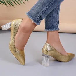 Elbise ayakkabıları lüks kristal berraklığında kare topuk altın gümüş pompalar kadınlar 2024 Yüksek topuklu düğün kadını sivri uçlu parti ayakkabısı üzerinde kayma