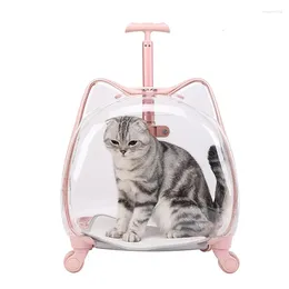Kattbärare bärbara och transparenta husdjurs andningsbara rymdväska utomhus vagnfodral