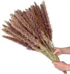 Decorative Flowers Natural Pampas Grass Large 60Pieces Tall Hay Flourish Branches For Floral Arrangements Wedding Kitchen Home Decor Dried