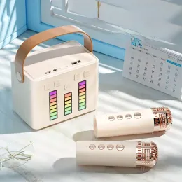 Speakers Portable Home KTV Audio Set Microphone Sound Karaoke Mini Song Player Colorful Led Light Wireless Bluetooth Speaker Girl's Gift