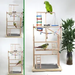Stands Wood Parrot Playground Lovebirds Playgym With Feeder Bird Playstand Bite Toy Bird Perches With Ladders Cockatiel Activity Center