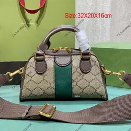 حقيبة فاخرة 5A مصممة للنساء الأكياس الأكياس الأكياس Crossbody Canvas جودة عالية الجلود الحقيقية 724575 حقائب اليد حقائب يدوية الرسول لا لدايس أزياء