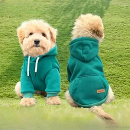 Dog Apparel Pet Hooded Sweater Than Bear Clothes Cotton Small And Medium-sized Autumn Winter Costume