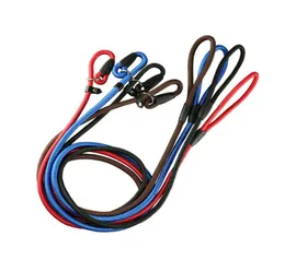Dog Collars Leashes Nylon Rope whisperer Cesar Millan style Slip Training Leash Lead and Collar Red Blue Black 3 Colors5973338