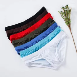 Underpants Ice Silk Men's Sexy Underwear Summer Transparent Male Casual Briefs Plus Size Shorts Gay Man Pants Men