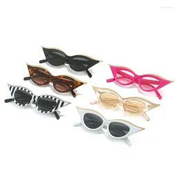 Sunglasses Stripe Cat Eye Women 2024 In Fashion Retro Hip-hop Ladies Shades Trending Vintage Brand Designer UV400 Eyewear