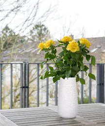 Vaso moderno in ceramica bianca da 10 pollici, vaso per fiori strutturato di forma ovale con scatola di design confezionata