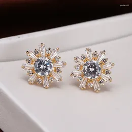 Stud Earrings DE259 Fashion Street Snap Delicacy 4A Zircon Flower Geometry GIRL'S Gift Party Banquet WOMEN'S Jewelry 2024