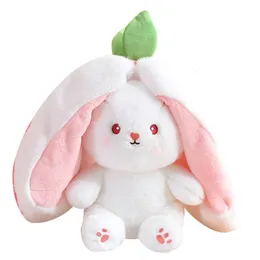Kawaii Fruit Transfigured Bunny Plüschtier Süße Karotte Erdbeere ...
