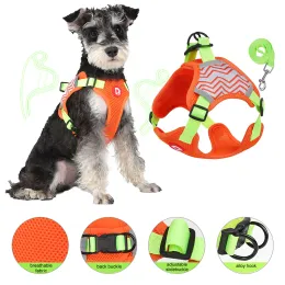 Harnesses New Dog Harness Leash Set Reflective Breathable Pet Harness For Small Dogs Cats Outdoors Walking Safety Vest Harness Wholesale