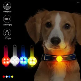 Piesne kołnierze psy przeciw wózek przeciwprądowy Wodoodporny bezpieczeństwo LED migające światło USB ładowalne dla kotów zwierzęta domowe