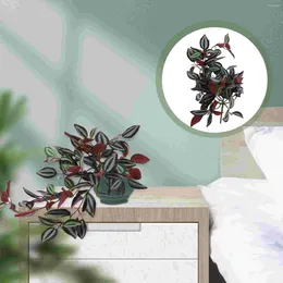 Dekoracyjne dekoracje do dekoracji sztucznego rattanu rośliny wewnętrzne naturales para zewnętrzna plastikowa wiszące ściany