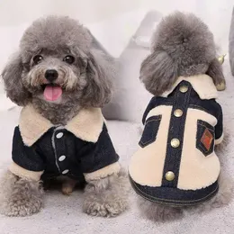 Куртка с одеждой для собак на осень/зиму, толстое красивое пальто с плюшевым мишкой, двойная одежда для домашних животных, в наличии, сейчас в сезоне