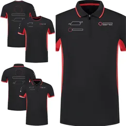 2024 F1 Men's Polo Shirt T-shirt Formel 1 Driver T-shirt Nytt säsong Team Racing Suit Topps Fans Samma avslappnad T-shirt Jersey Plus-storlek