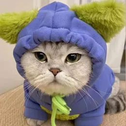 후드 패션 까마귀 작은 개 스웨터 고양이 옷 따뜻한 가을 겨울 풀오버 요크셔 코트 치와와 불독 강아지 스웨트 셔츠