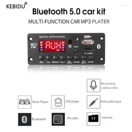 Amplificatore 12V Stereo Scheda di decodifica MP3 Vivavoce 50W Bluetooth 5.0 Wireless Lettore USB per auto Slot per schede TF Registrazione FM AUX