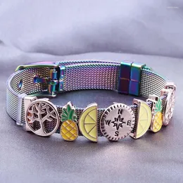 Länkarmband baopon smycken 10mm keeper frukt citron glid charm armband för kvinnor män rostfritt stål mesh armband diy gåva